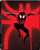 Spider-Man: Into The Spider-Verse: Limited Edition (Blu-ray/DVD)(SteelBook)