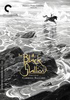 Black Stallion: Criterion Collection