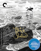 Black Stallion: Criterion Collection (Blu-ray)