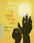 Raisin In The Sun: Criterion Edition (Blu-ray)