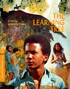 Learning Tree: Criterion Collection (Blu-ray)