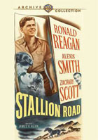 Stallion Road: Warner Archive Collection