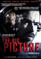 Big Picture (2010)