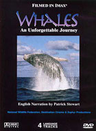 Whales: An Unforgettable Journey (IMAX)