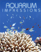 Aquarium Impressions (HD DVD)