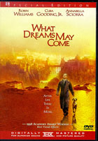 What Dreams May Come: Special Edition