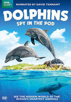 Dolphins Spy In The Pod