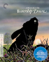 Watership Down: Criterion Collection (Blu-ray)
