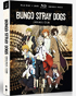 Bungo Stray Dogs: Season One (Blu-ray/DVD)
