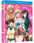 My First Girlfriend Is A Gal: The Complete Series + OVA (Blu-ray/DVD)
