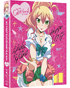 My First Girlfriend Is A Gal: The Complete Series + OVA: Limited Edition (Blu-ray/DVD)