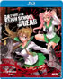 High School Of The Dead: Complete Collection (Blu-ray)