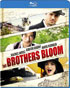 Brothers Bloom (Blu-ray)