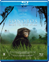 Bonobos: Back To The Wild (Blu-ray)