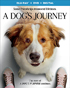 Dog's Journey (Blu-ray/DVD)