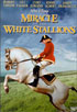 Miracle Of The White Stallions