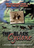 Black Cyclone