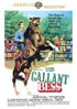 Gallant Bess: Warner Archive Collection