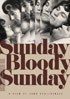Sunday Bloody Sunday: Criterion Collection