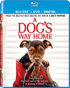 Dog's Way Home (Blu-ray/DVD)