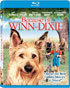 Because Of Winn-Dixie (Blu-ray)