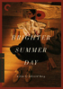 Brighter Summer Day: Criterion Collection