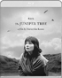 Juniper Tree (Blu-ray)