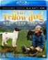 Cave Of The Yellow Dog (Blu-ray/DVD)