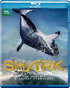 Shark: The Blue Chip Series (Blu-ray)