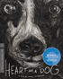 Heart Of A Dog: Criterion Collection (Blu-ray)