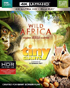 Wild Africa / Tiny Giants (4K Ultra HD/Blu-ray)