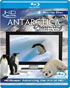 HDScape: Antarctica Dreaming (Blu-ray)