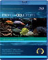 Marine Aquarium: Special Collectors Edition (Blu-ray)