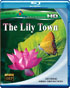 Lily Town (Blu-ray)