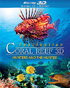 Fascination Coral Reef 3D: Hunters And The Hunted (Blu-ray 3D/Blu-ray)