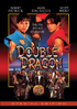 Double Dragon: Special Edition