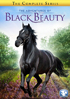 Adventures Of Black Beauty: The Complete Series