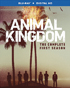 Animal Kingdom (2016): The Complete First Season (Blu-ray)