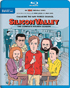 Silicon Valley: The Complete Fourth Season (Blu-ray)