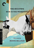 Shooting / Ride In The Whirlwind: Criterion Collection