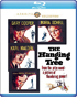 Hanging Tree: Warner Archive Collection (Blu-ray)