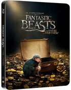 Fantastic Beasts And Where To Find Them: Limited Edition (Blu-ray-IT)(SteelBook)