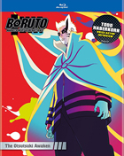 Boruto: Naruto Next Generations: Set 15: The Otsutsuki Awaken (Blu-ray)