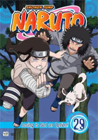 Naruto Vol.29: Losing Is Not An Option
