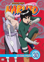 Naruto Vol.30: The Beast Within