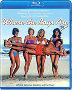 Where The Boys Are '84 (Blu-ray)