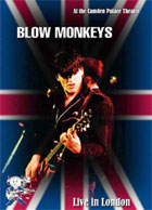 Blow Monkeys: Live In London