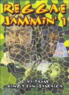 Reggae Jammin' Vol. 1