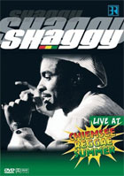 Shaggy: Live At Chiemsee Reggae Summer
