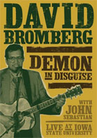 David Bromberg: Demon In Disguise